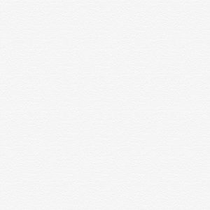 Meet your Posher, Tiara